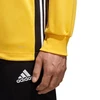 Adidas Regista 18 M treniruočių džemperis CZ8648