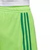 Adidas Regista 18 Šortai M CF9598 šortai