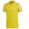 Adidas Regista 20 marškinėlių M FI4556 marškinėliai