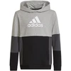 Adidas Spalvų Blokų Džemperis su Gobtuvu Jr HN8563