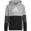 Adidas Spalvų Blokų Džemperis su Gobtuvu Jr HN8563
