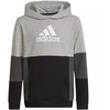 Adidas Spalvų Blokų Džemperis su Gobtuvu Jr HN8563