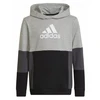 Adidas Spalvų Blokų Džemperis su Gobtuvu Jr HN8563