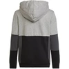 Adidas Spalvų Blokų Džemperis su Gobtuvu Jr HN8563
