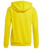 Adidas Squadra 21 Hoody Youth Jr GP6431 džemperis jaunimui
