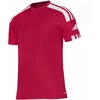 Adidas Squadra 21 Jaunimo Marškinėliai Jr GN5746