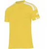adidas Squadra 21 JSY M GN5728 Marškinėliai