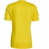 adidas Squadra 21 JSY M GN5728 Marškinėliai