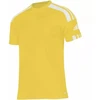 Adidas Squadra 21 JSY Y Jr Marškinėliai GN5744
