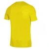Adidas Squadra 21 JSY Y Jr Marškinėliai GN5744