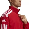Adidas Squadra 21 M vyriškas džemperis GP6446