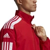 Adidas Squadra 21 M vyriškas džemperis GP6446