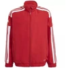 Adidas Squadra 21 pristatymo striukė jaunimui GP6439