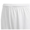 Adidas Squadra 21 šortai jaunimo Jr GN5766