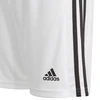 Adidas Squadra 21 šortai jaunimo Jr GN5766