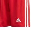 Adidas Squadra 21 Šortai Jaunimui Jr GN5761