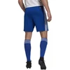 Adidas Squadra 21 Šortai M GK9153
