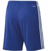 Adidas Squadra 21 Šortai M GK9153