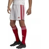 Adidas Squadra 21 Šortai M GN5770