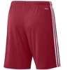 Adidas Squadra 21 Šortai M GN5771