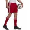 Adidas Squadra 21 Šortai M GN5771