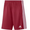 Adidas Squadra 21 Šortai M GN5771