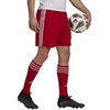 Adidas Squadra 21 Šortai M GN5771