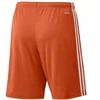 Adidas Squadra 21 Šortai M GN8084