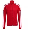 Adidas Squadra 21 treniruočių džemperis M GP6464