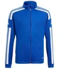 Adidas Squadra 21 Treniruočių Jaunimo Džemperis GP6457