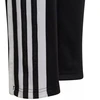 Adidas Squadra 21 treniruočių jaunuolių kelnės Jr GK9553