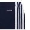 adidas Squadra 21 Treniruojamosios jaunimo kelnės HC6280