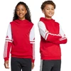 Adidas Squadra 25 džemperis su gobtuvu Jr JD4805