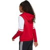 Adidas Squadra 25 džemperis su gobtuvu Jr JD4805