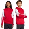Adidas Squadra 25 džemperis su gobtuvu Jr JD4805