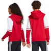 Adidas Squadra 25 džemperis su gobtuvu Jr JD4805