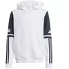 Adidas Squadra 25 džemperis su gobtuvu Jr JD4807
