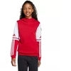 Adidas Squadra 25 džemperis su gobtuvu Jr JD4805