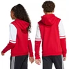 Adidas Squadra 25 džemperis su gobtuvu Jr JD4805