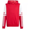 Adidas Squadra 25 džemperis su gobtuvu Jr JD4805