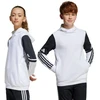 Adidas Squadra 25 džemperis su gobtuvu Jr JD4807