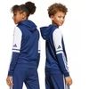 Adidas Squadra 25 Hoodie Jr JD4800 sportinis džemperis