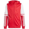 Adidas Squadra 25 Hoodie Jr JD4801 džemperis