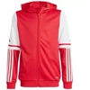 Adidas Squadra 25 Hoodie Jr JD4801 džemperis