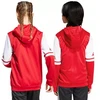 Adidas Squadra 25 Hoodie Jr JD4801 džemperis