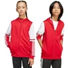 Adidas Squadra 25 Hoodie Jr JD4801 džemperis