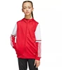 Adidas Squadra 25 Hoodie Jr JD4801 džemperis