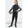 Adidas Squadra 25 Hoodie Jr JD6087 džemperis