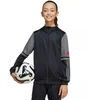 Adidas Squadra 25 Hoodie Jr JD6087 džemperis