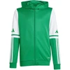 Adidas Squadra 25 Hoody Jr JP3163 džemperis